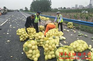 恩平网红吃瓜群众视频,揭秘当地热门事件背后的真相 第1张 恩平网红吃瓜群众视频,揭秘当地热门事件背后的真相 第1张
